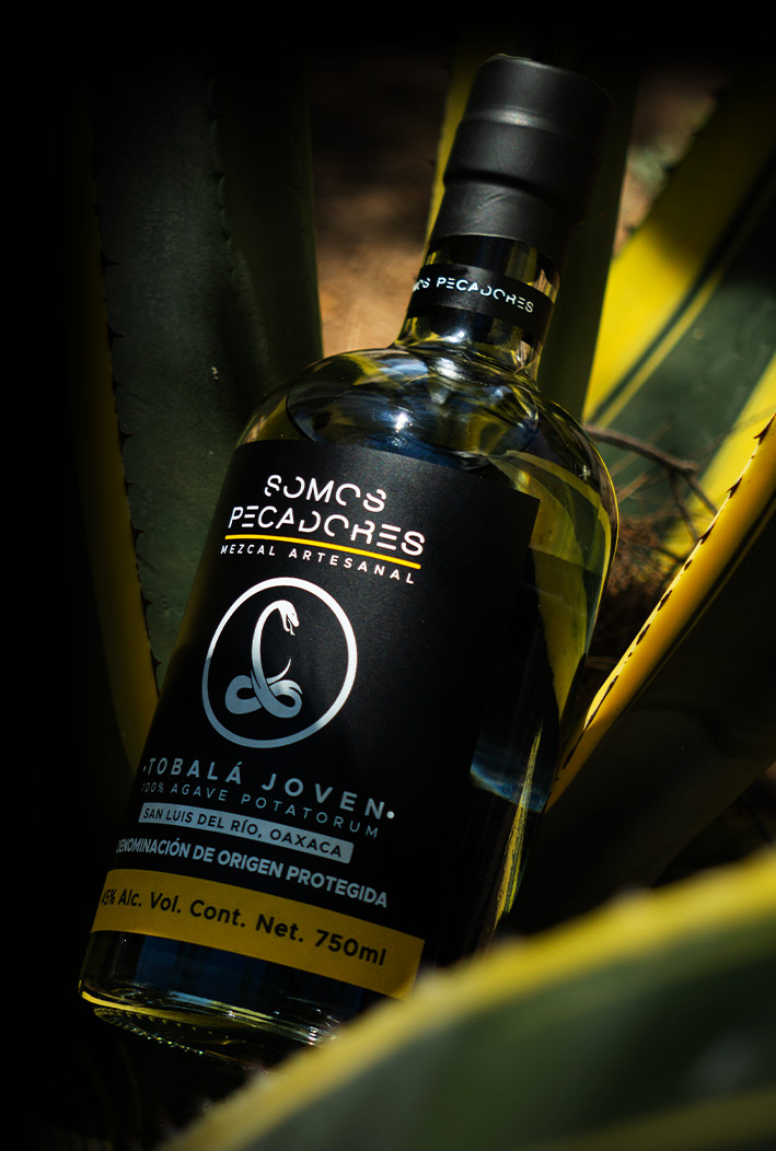 Somos Pecadores 70cl bottle